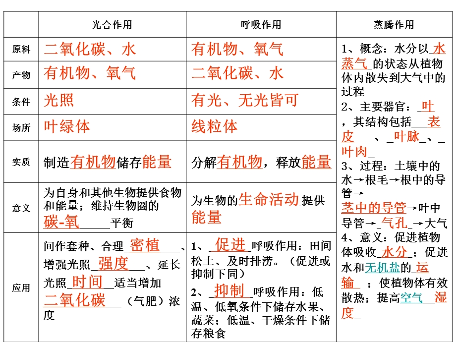 《植物的三大作用(复习)》.ppt_第2页