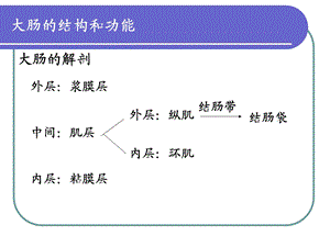 《排便护理》PPT课件.ppt