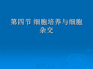 【教学课件】第四节细胞培养与细胞杂交.ppt