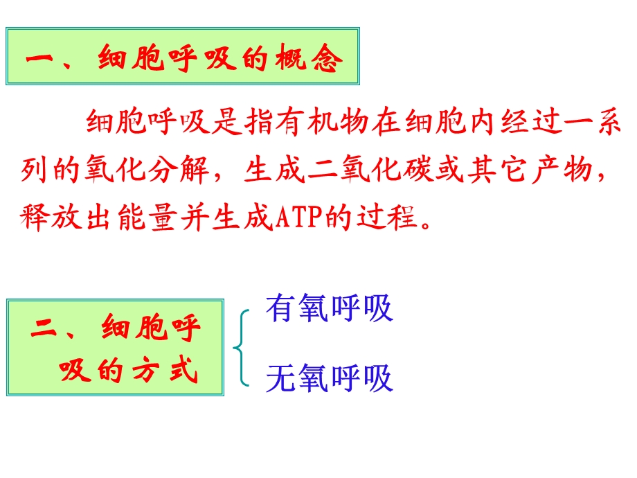 ATP的主要来源——细胞呼吸课件.ppt_第2页