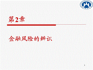 《金融风险辨识》PPT课件.ppt