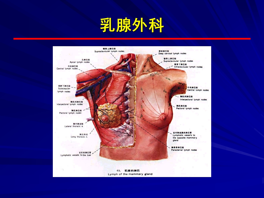 胸部疾病(乳腺).ppt_第2页