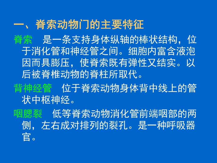 第十一节脊索动物门ppt课件.ppt_第2页