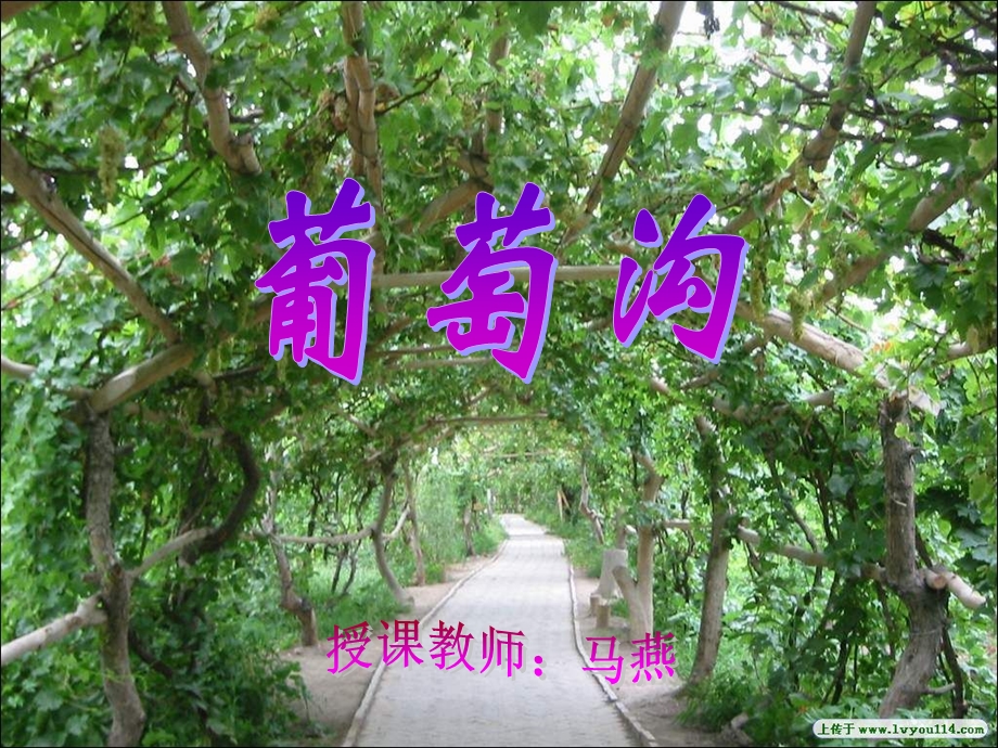 葡萄沟课件 .ppt_第1页