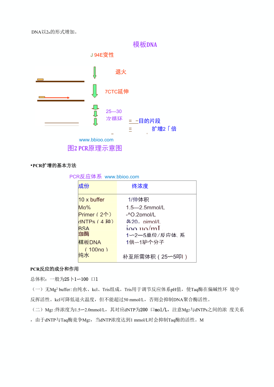 PCR技术的原理与方法.docx_第2页