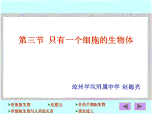 【教学课件】第三节只有一个细胞的生物体.ppt
