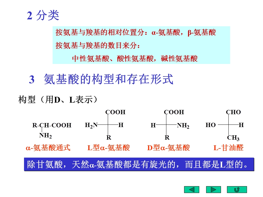 【教学课件】第十九章氨基酸蛋白质核酸.ppt_第3页