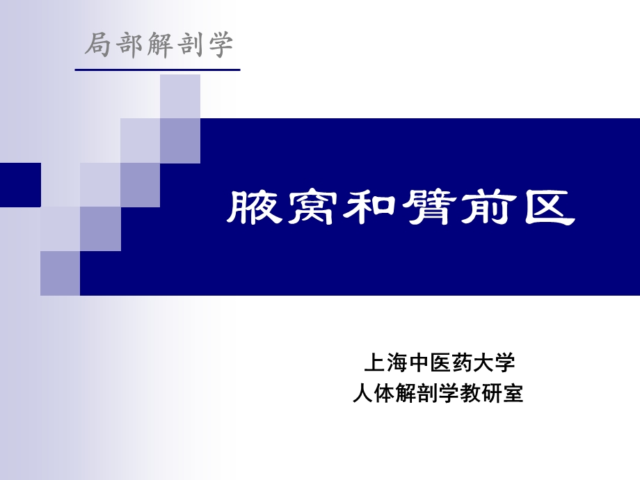 《腋窝和臂前区》PPT课件.ppt_第1页