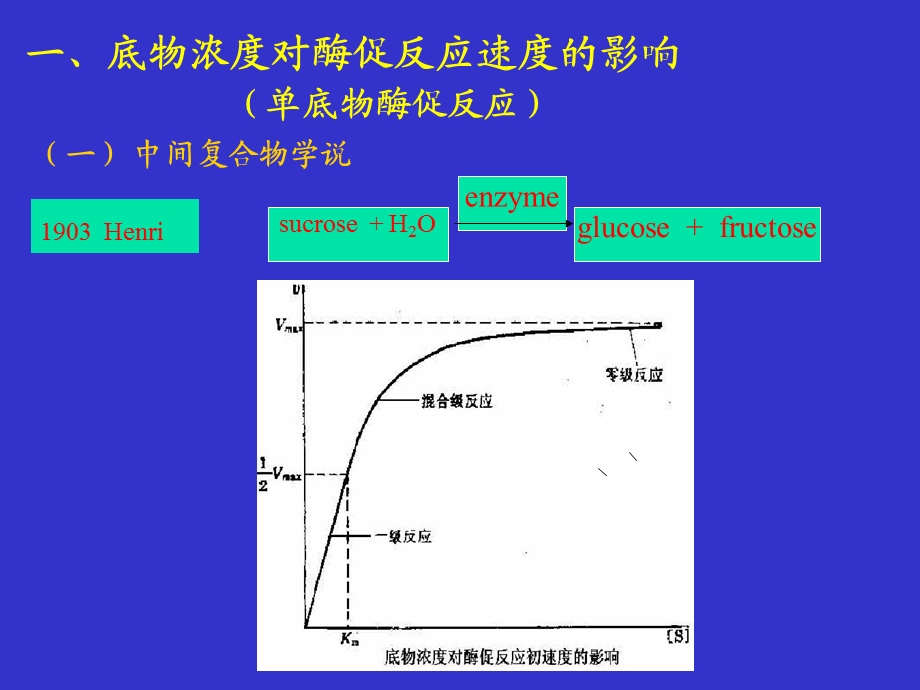 《酶动力学》PPT课件.ppt_第2页