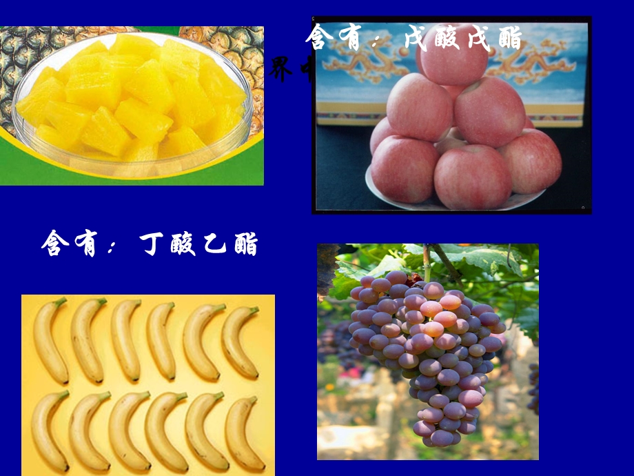 《酯有机化学基础》PPT课件.ppt_第3页