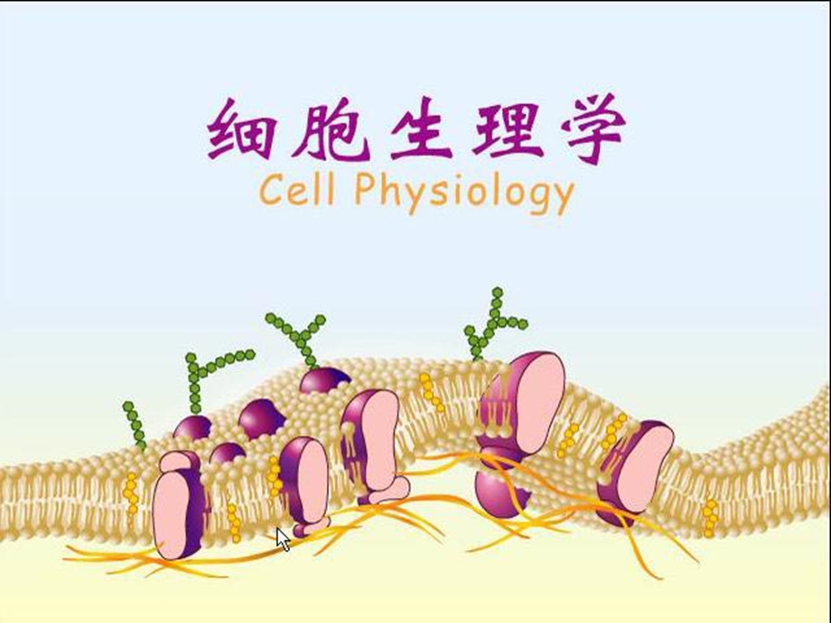 南农 生理学 01章细胞生理.ppt_第1页