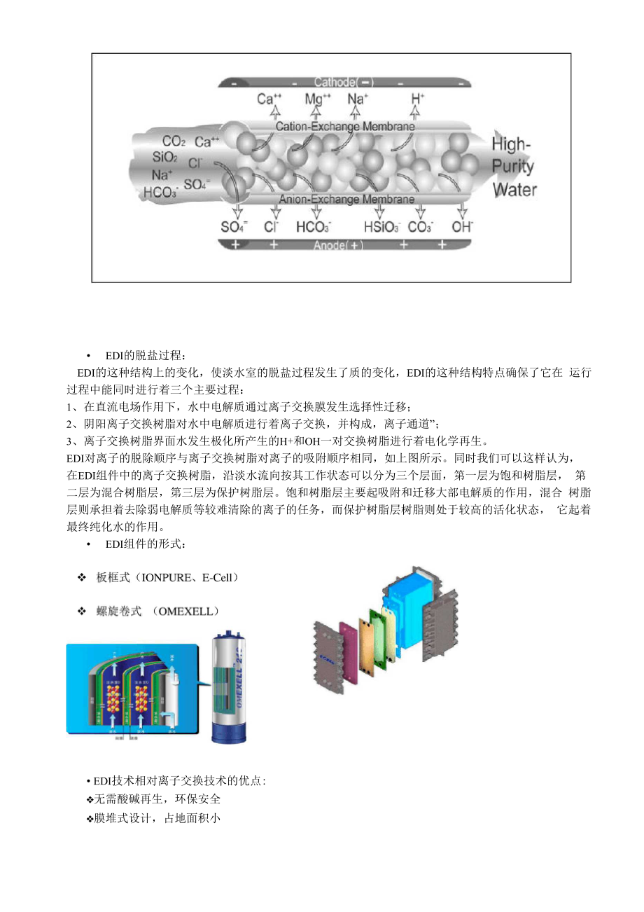 EDI技术介绍、设计参数及运行.docx_第2页