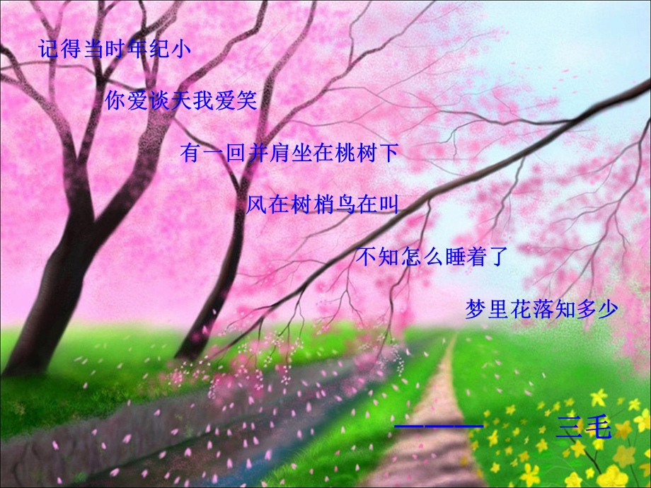 三毛英文介绍ppt.ppt_第2页