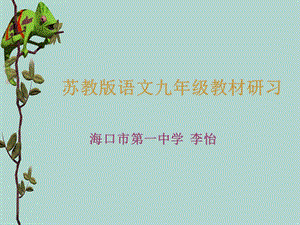 《语文下说教材》PPT课件.ppt