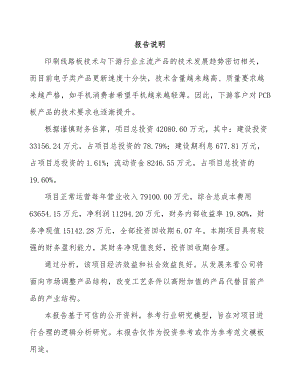 南通印制电路板项目可行性研究报告.docx