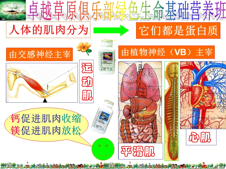 绿色生命基础营养师研习班.ppt_第3页