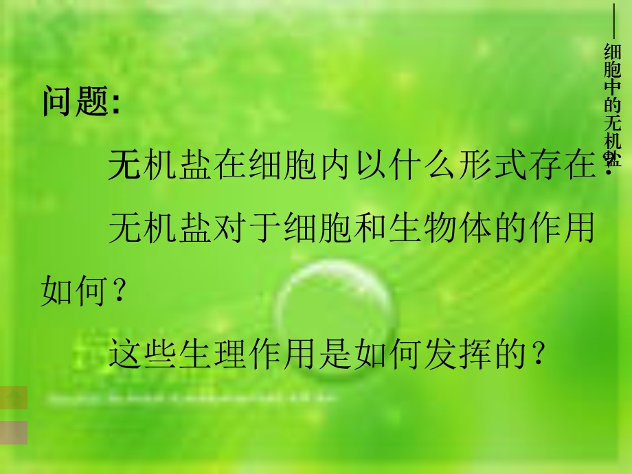 细胞中的无机盐.ppt_第3页