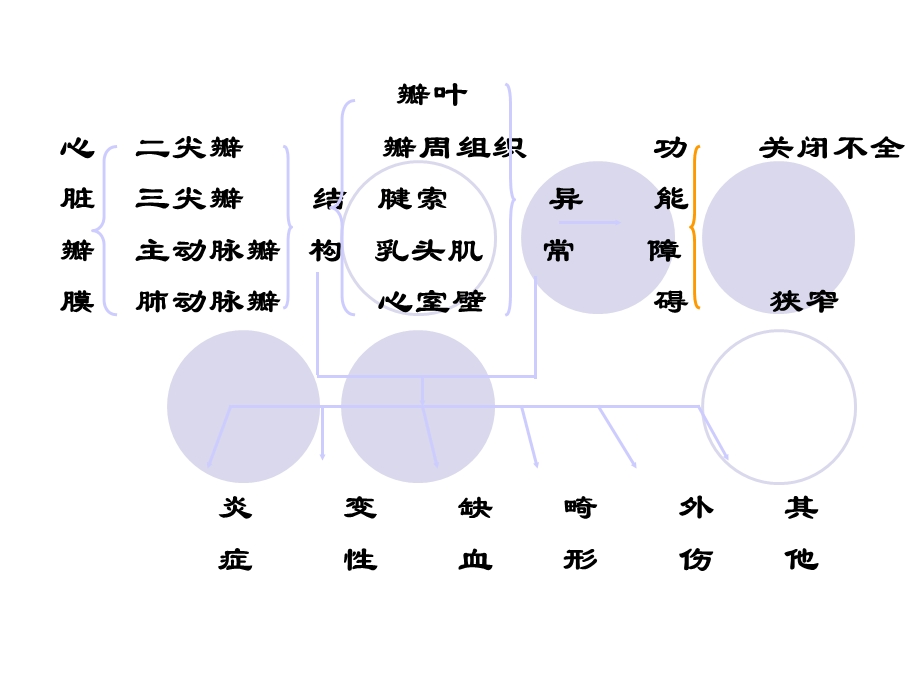 瓣膜病zhihong.ppt_第3页