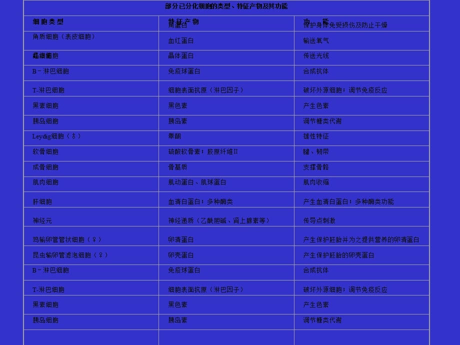 发育生物学基本原理.ppt_第3页