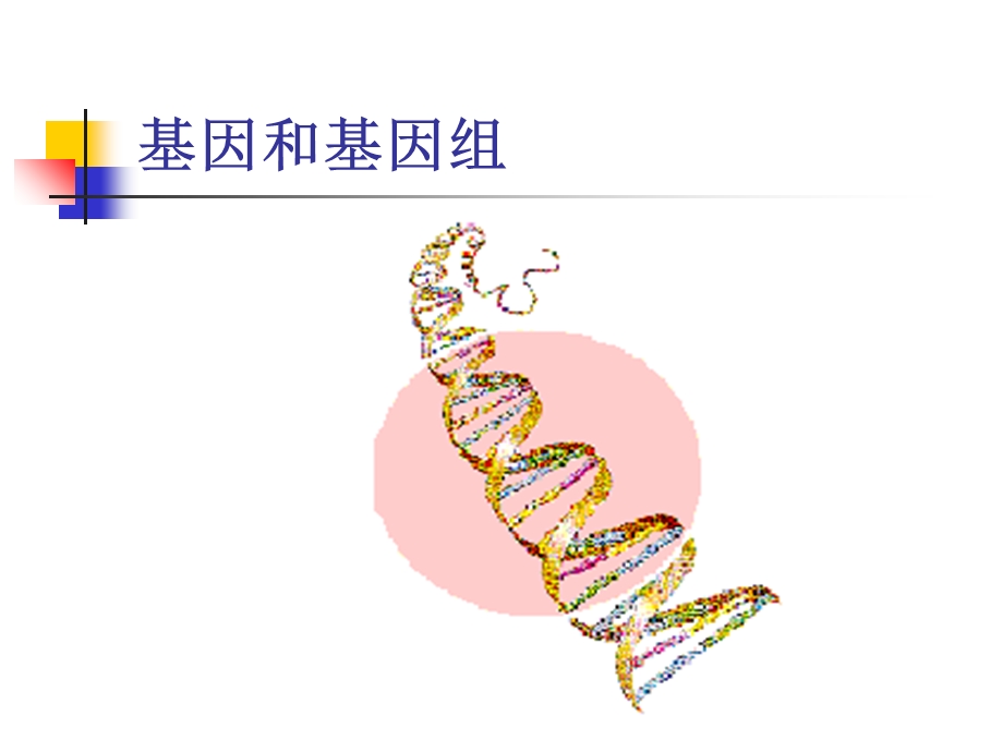 医学分子生物学-基因组.ppt_第2页