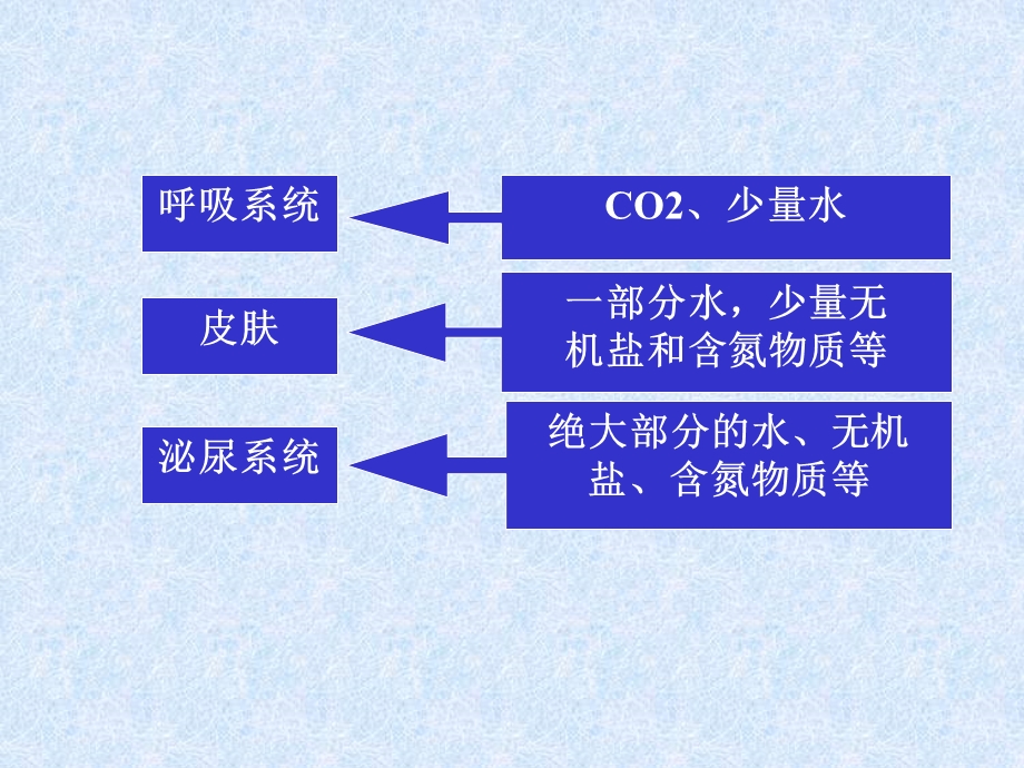 排尿的护理.ppt_第2页