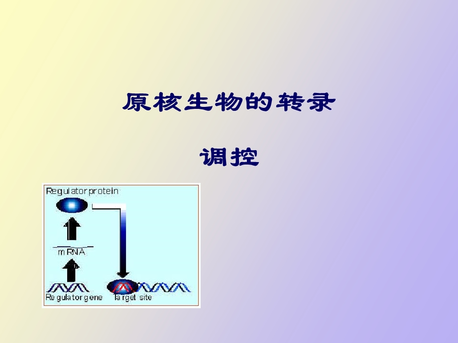 原核生物转录调控cla.ppt_第1页