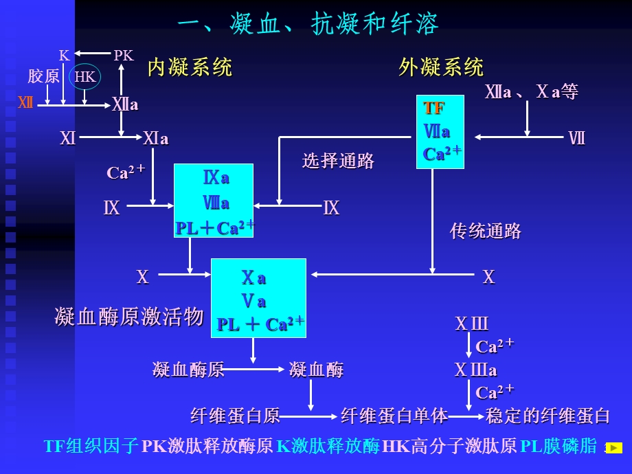 第十一章凝血与抗凝血平衡紊乱.ppt_第3页