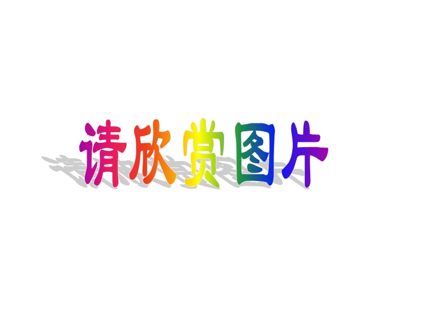 初中数学图形的旋转.ppt_第2页