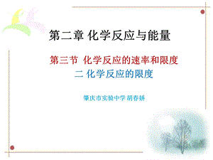 化学反应的限度ppt.ppt