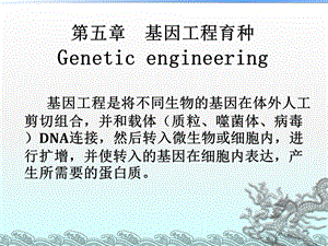 基因工程育种微生物遗传育种.ppt