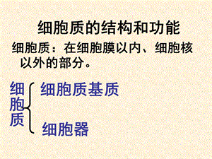 细胞质的结构与功能.ppt