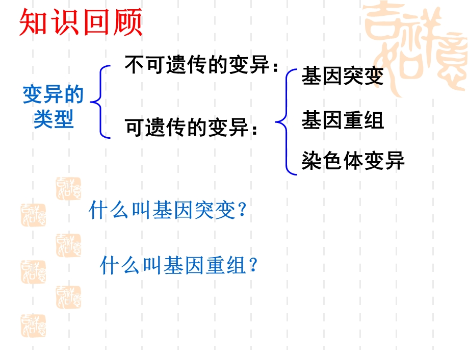 交育种与诱变育种.ppt_第2页