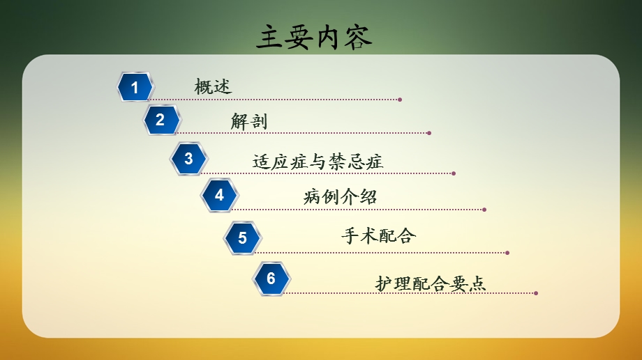 后腹腔镜下输尿管切开取石术ppt.ppt_第2页