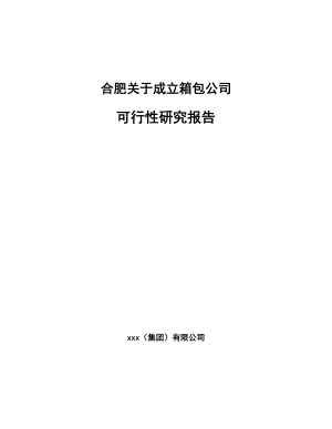 合肥关于成立箱包公司可行性研究报告.docx