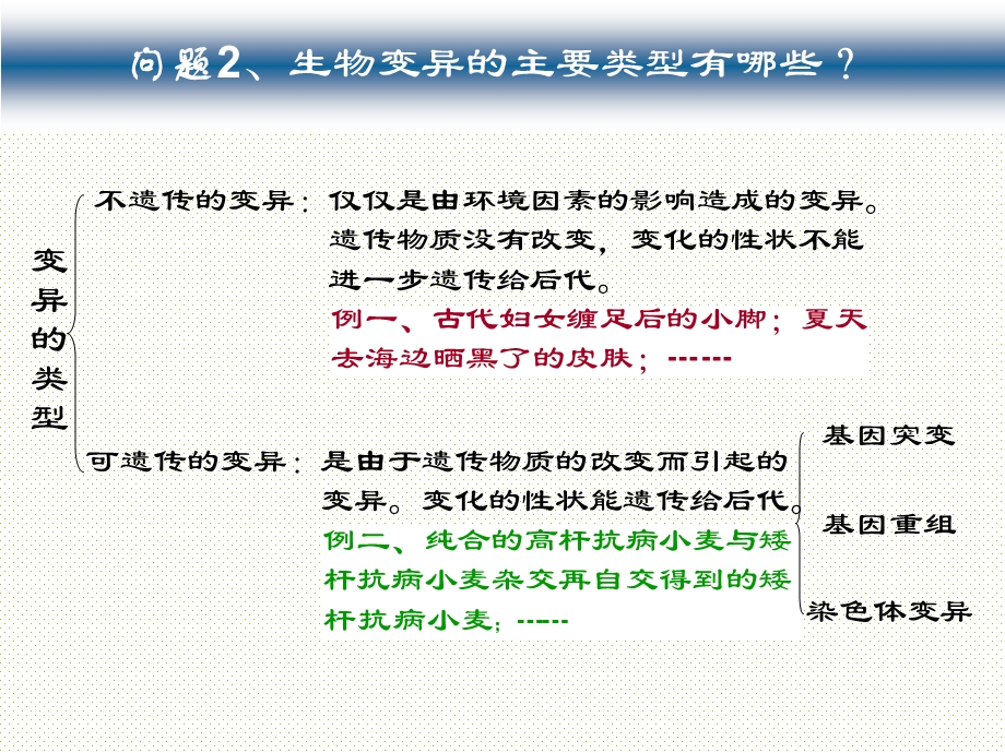 基因突变和基因重组高三上课用.ppt_第3页