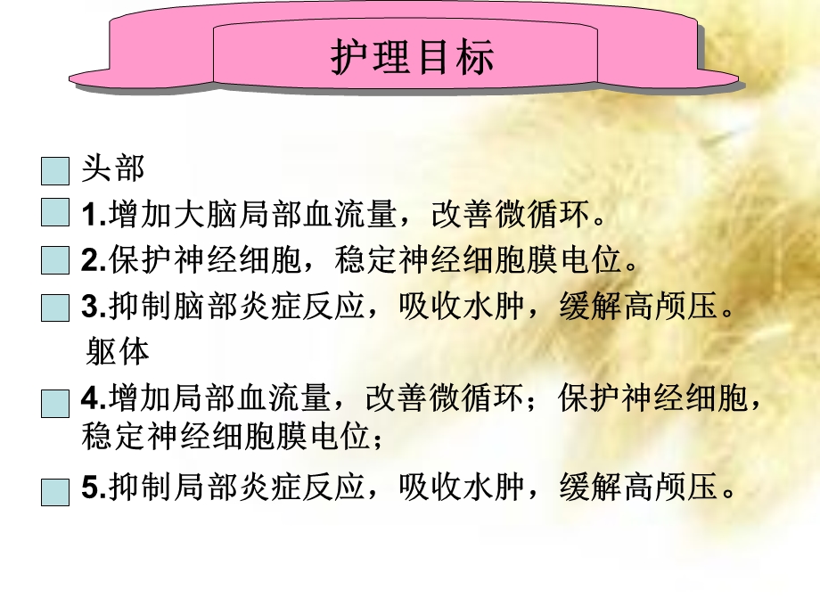 脑循环治疗仪.ppt_第2页