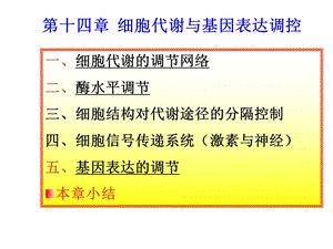 第十四章细胞代谢与基因表达调控.ppt