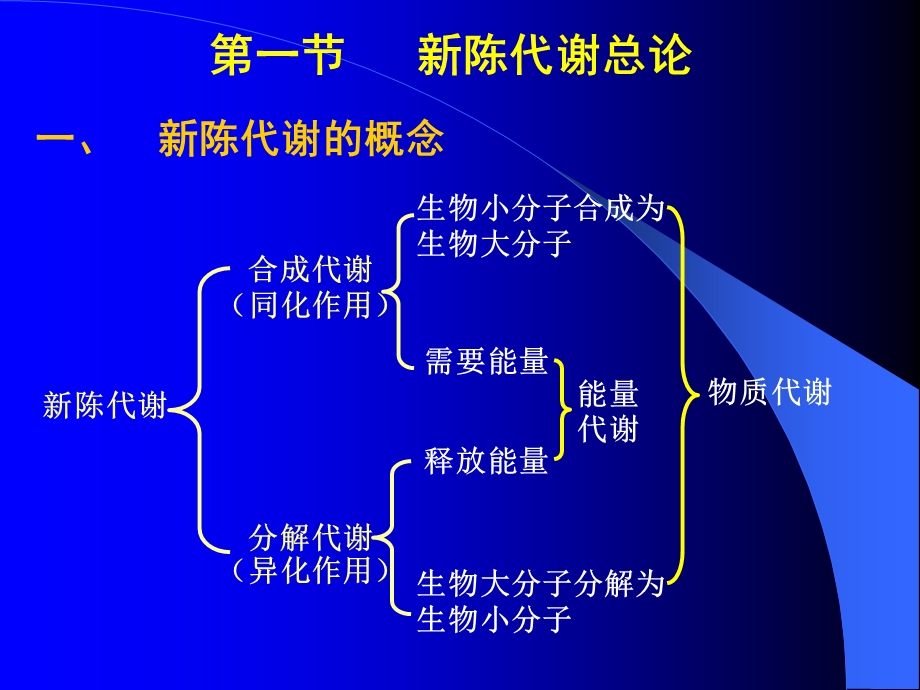 代谢总论与生物氧化.ppt_第2页