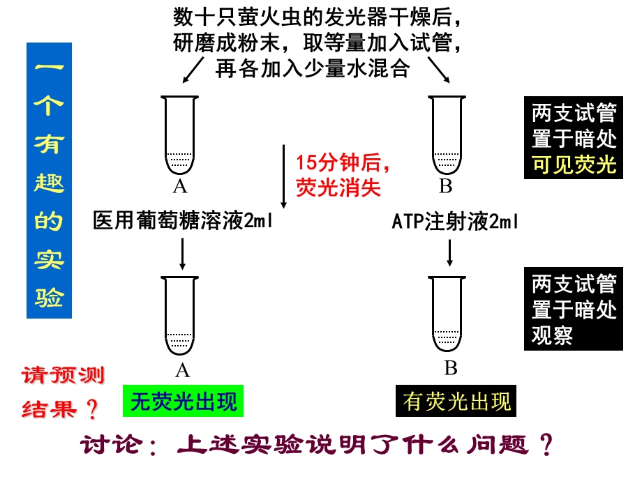 第二节新陈代谢与ATP.ppt_第3页