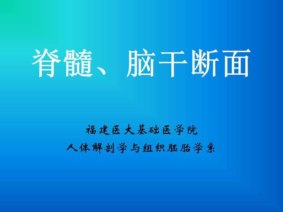 脑干断面图(作业)01.ppt_第1页