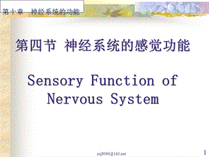 第四节 神经系统的感觉功能.ppt