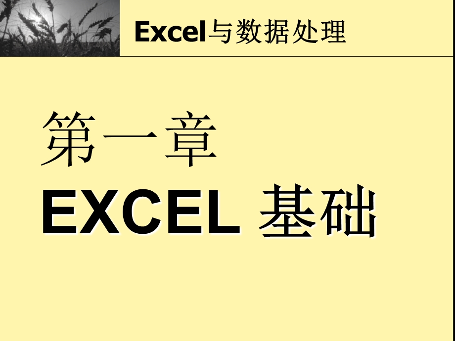 妩媚人生-EXCEL基础知识与数据处理.ppt_第1页