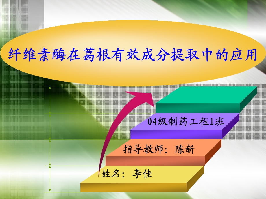 纤维素酶在葛根有效成分提取中的应用.ppt_第1页