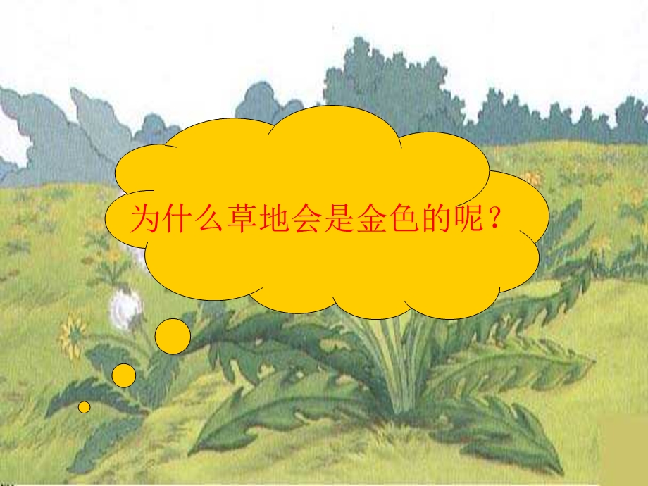 小学三年级语文《金色的草地》课件.ppt_第2页