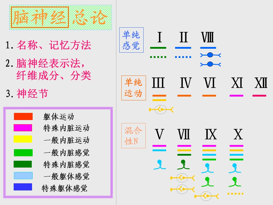 医学百事通移动医疗资料库-脑神经总论.ppt_第1页