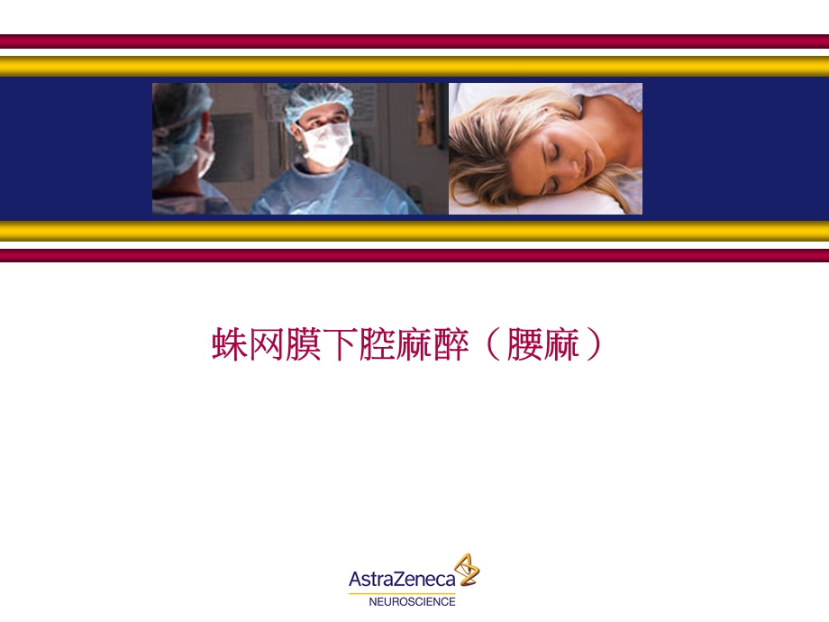 耐乐品用于腰麻文件.ppt_第1页