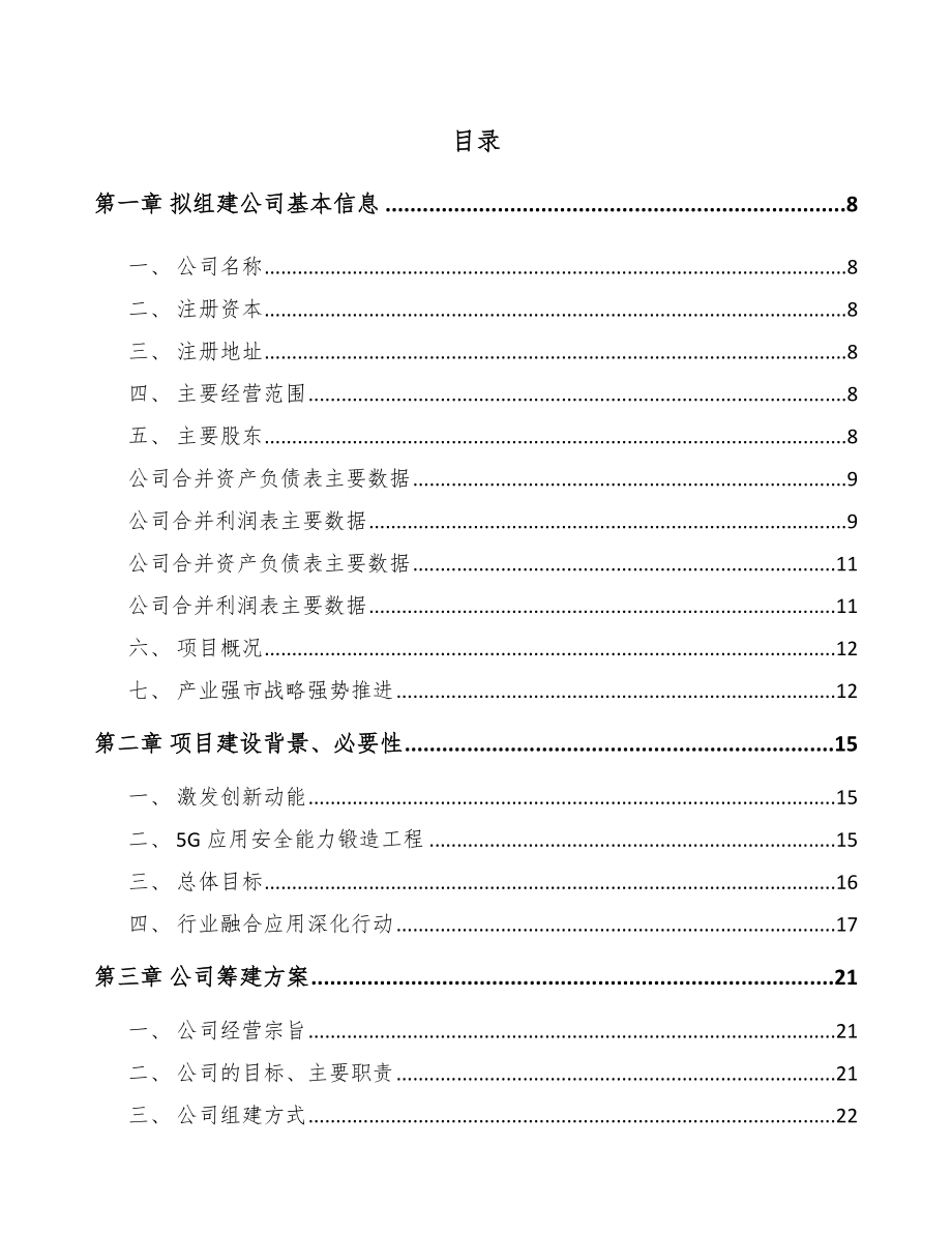 句容关于成立5G+信息消费公司可行性研究报告.docx_第2页