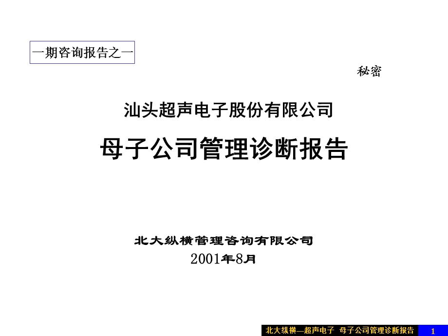 北大纵横超声电子母子公司管理.ppt_第1页