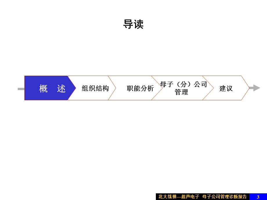 北大纵横超声电子母子公司管理.ppt_第3页