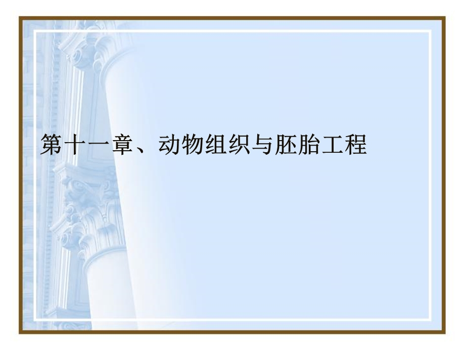 动物组织与胚胎工程.ppt_第1页